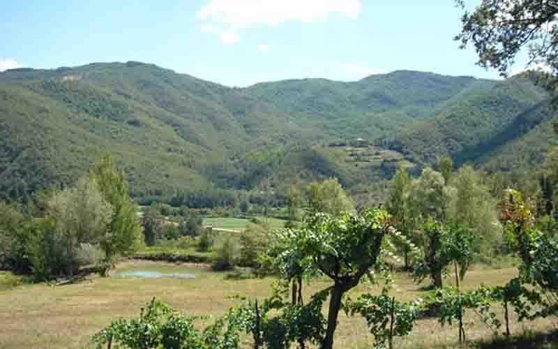 Villa Il Corniolo Morra ภายนอก รูปภาพ